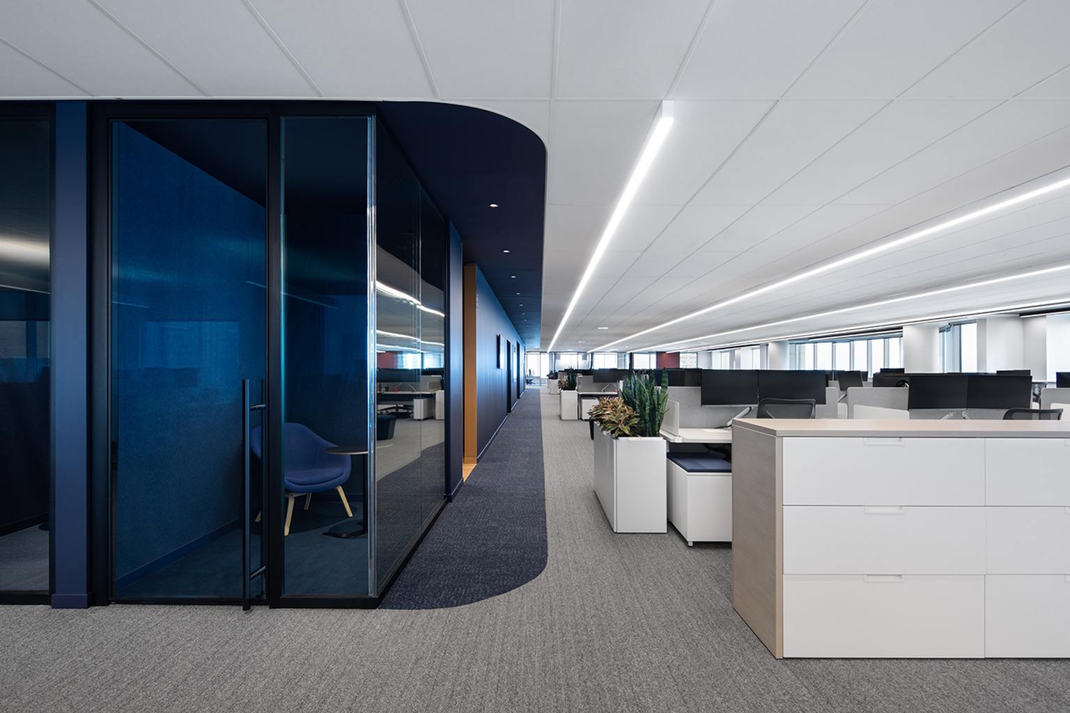 image - FINO: Riche en variété